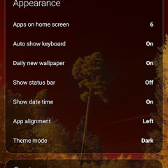 Olauncher&#039;s settings menu
